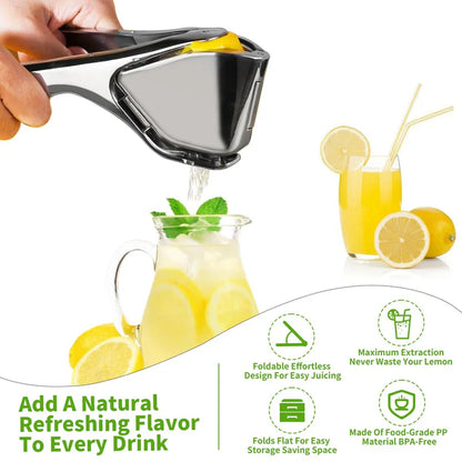 Citrus Squeezer | Stainless Steel or PP 🍋